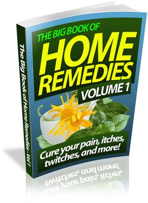 Product picture The Big Book of Home Remedies 